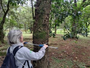 lentz. Licenciamento Ambiental EIA RIMA