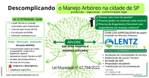 A Lentz possui mais de 30 anos de experiência em supressão de vegetação, poda e manejo arbóreo, elaborando laudos técnicos e conduzindo processos de regularização ambiental
