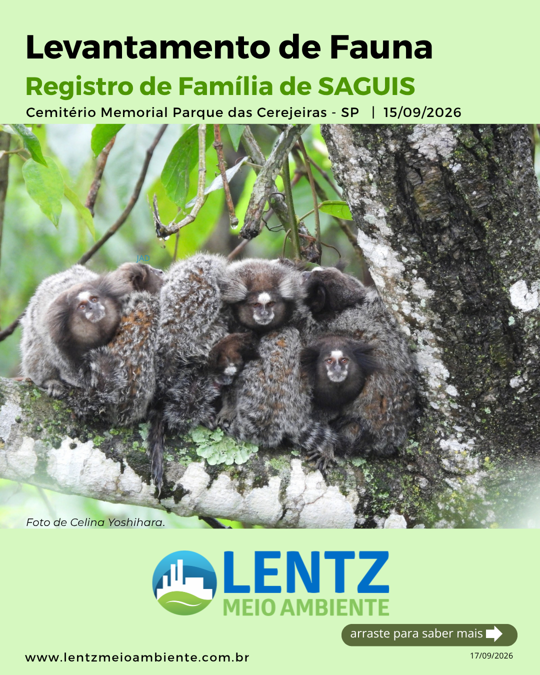 Lentz Meio Ambiente - levantamento de fauna