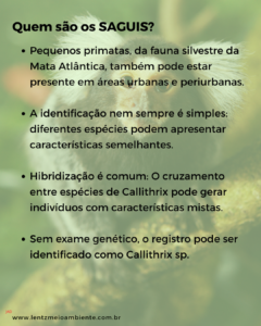 Lentz Meio Ambiente - Amostrador digital contínuo Lentz Meio Ambiente - levantamento de fauna