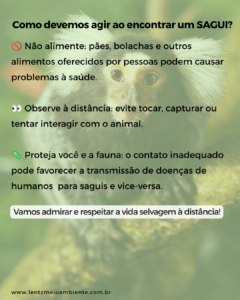 Lentz Meio Ambiente - Amostrador digital contínuo Lentz Meio Ambiente - levantamento de fauna
